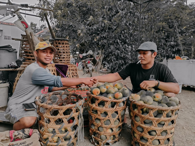 Kediaman Darto (35), Ari (24) Sedang Melakukan Transaksi Pembelian Mangga di Jatibarang Indramayu,Jawa Barat.