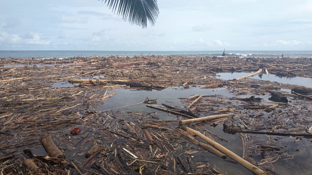 Kayu-kayu diduga hanyut dari Sibolga memenuhi pesisir desa Bawozaua, Nias Selatan, pada Minggu (30/11/2025). Foto: Dok. Istimewa