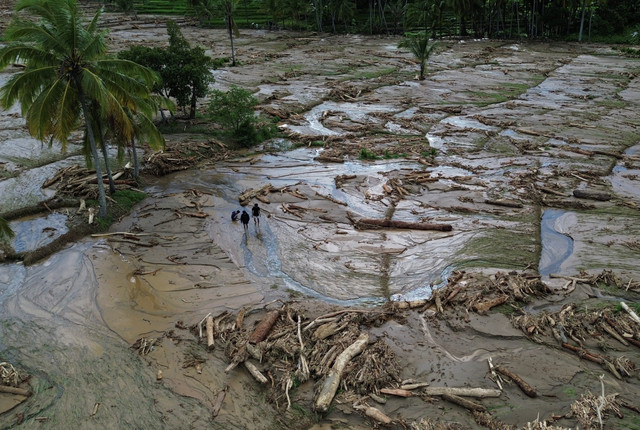 Foto Udara sampah kayu gelondongan pasca banjir bandang di Nagari Muaro Pingai, Kecamatan Junjung Sirih, Kabupaten Solok, Sumatera Barat, Sabtu (29/11/2025). Foto: Wawan Kurniawan/ANTARA FOTO