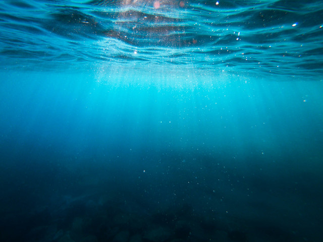 Ilustrasi peran fitoplankton di laut. Foto: Unsplash