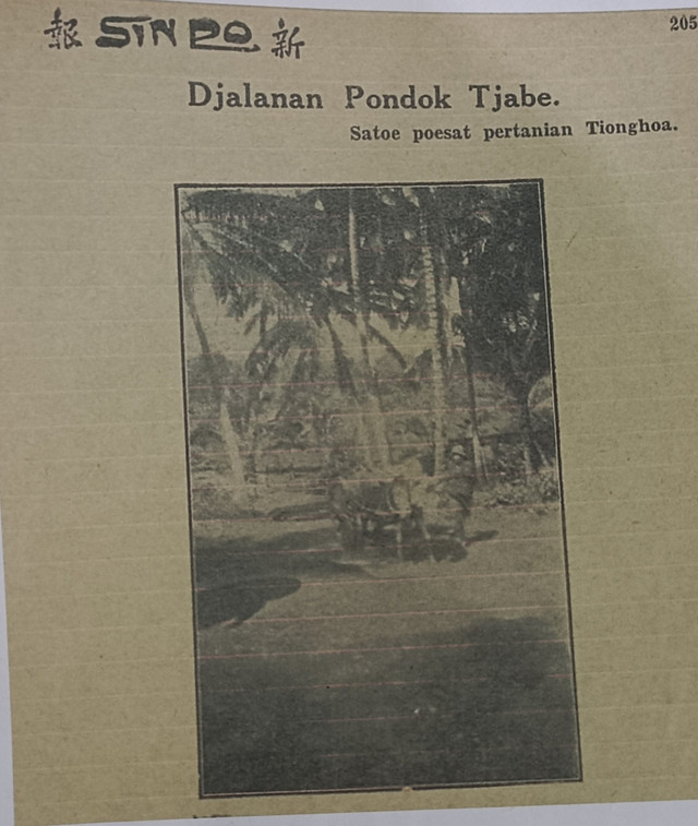 Dokumen Pribadi - Arsip Kelurahan: Gambaran Pondok Cabe pada Masa Lalu. (Oktober 2024)