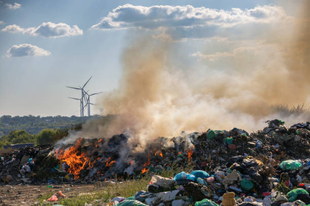 Pemabakaran sampah sebagai penghasil dioksin (sumber: https://www.istockphoto.com/id/foto/tempat-pembuangan-sampah-liar-gm1784537468-547224092?searchscope=image%2Cfilm)