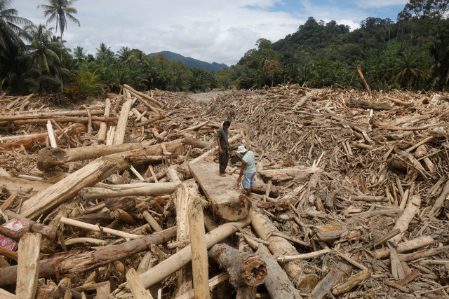 Warga berdiri di atas pohon yang terbawa banjir bandang di Batang Toru, Sumatera Utara, Selasa (2/12/2025). Foto: Binsar Bakkara/AP Photo