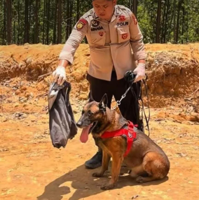 Reno, Anjing K9 Polri yang mati dalam tugas. Dok: Polri