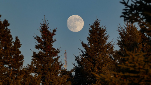 Ilustrasi Apa itu fenomena cold moon dan kapan munculnya. Foto: Unsplash.com/Kym MacKinnon