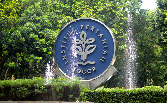 Ilustrasi IPB. Foto: Ikhsan Rosyadi/Shutterstock 
