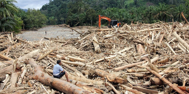Sampah kayu gelondongan pasca banjir bandang di Desa Aek Garoga, Kecamatan Batang Toru, Kabupaten Tapanuli Selatan, Sumatera Utara (ANTARA FOTO/Yudi Manar/bar)