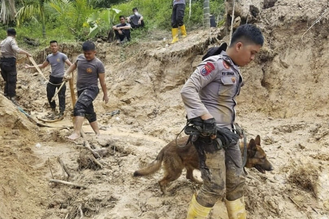 Reno, Anjing K9 Polri yang mati dalam tugas. Foto: Instagram/ @baharkam_polri