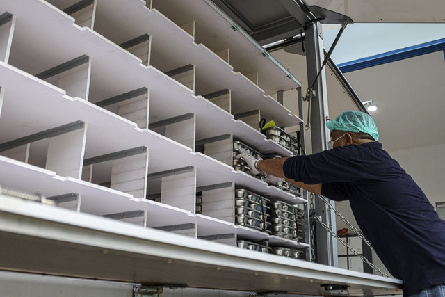 Ilustrasi dapur MBG. Foto: Shutterstock