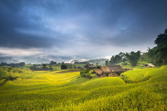 Ilustrasi lumbung padi tradisional di Nusantara. Foto: Pexels
