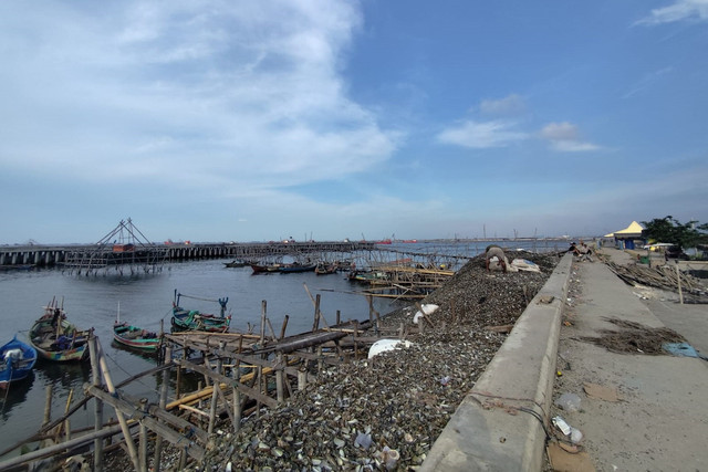 Cangkang kerang hijau di Cilincing, Jakarta Utara, Jumat (5/12/2025). Foto: Iqbal Firdaus/kumparan