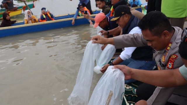 Menebar benih ikan di Danau Tempe, Kabupaten Wajo, Sulawesi Selatan. Foto: Dok. Istimewa