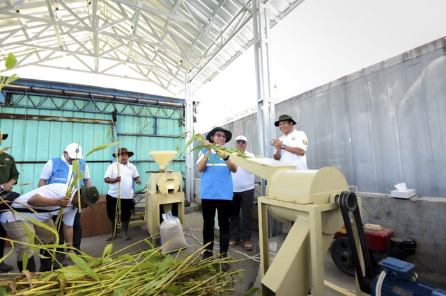Direktur Utama PLN Indonesia Power Bernadus Sudarmanta dan kelompok tani mencoba hasil pengolahan batang sorgum dari mesin pencacah, Sabtu (6/12/2025). Foto: Dok. PLN