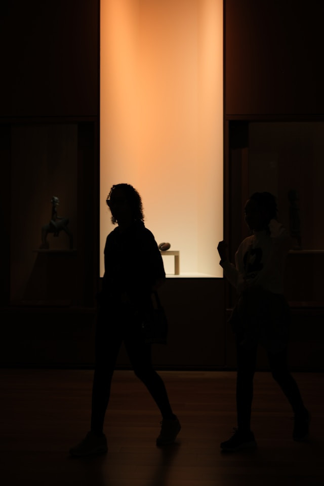 Siluet seseorang berdiri di area terang-gelap, fotoDmitry Spravko via https://unsplash.com/@kaprion