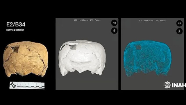 Tengkorak pria tersebut (dilihat dari belakang sebagai foto dan hasil pemindaian 3D serta titik awan) diratakan di bagian atas, sehingga tampak berbentuk kubus. Foto: INAH/Technical Archive of the Physical Anthropology Section of CINAH Tamaulipas