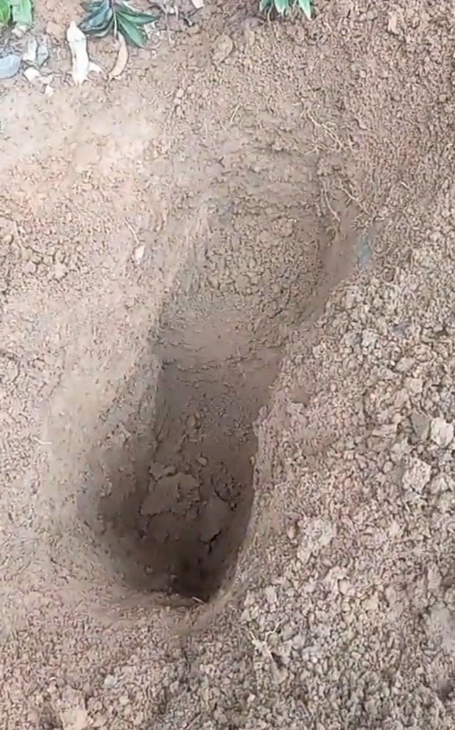 Makam yang digali oleh Orang Tak Dikenal (OTK) di Desa Mataram, Kabupaten Musi Rawas, Sumsel/ist. 