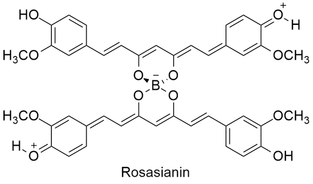 Kompleks Rosasianin. Foto: Dokumentasi Pribadi