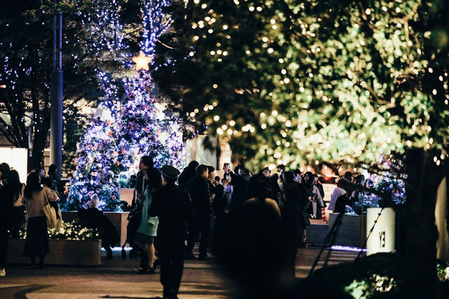 Ilustrasi Hutan Menyala Urban Forest Cipete, Unsplash/Tsuyoshi Kozu