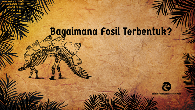 Ilustrasi Fosil. Foto: Dokumentasi pribadi