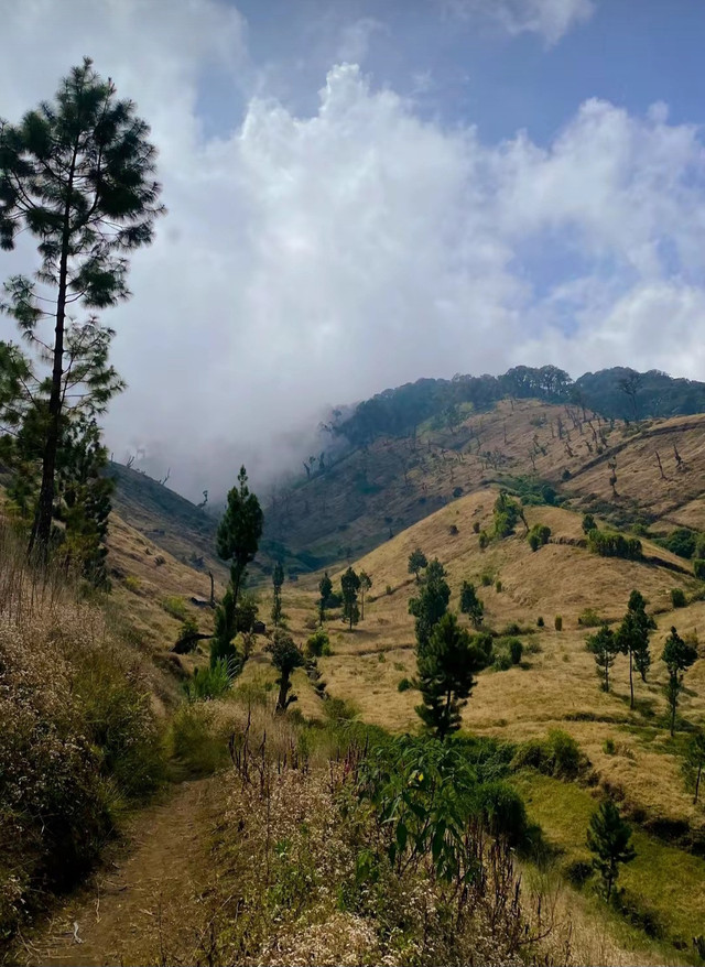 Foto Pemandangan perbukitan sawangan di lereng slamet, Sumber: Najwa Salsabila