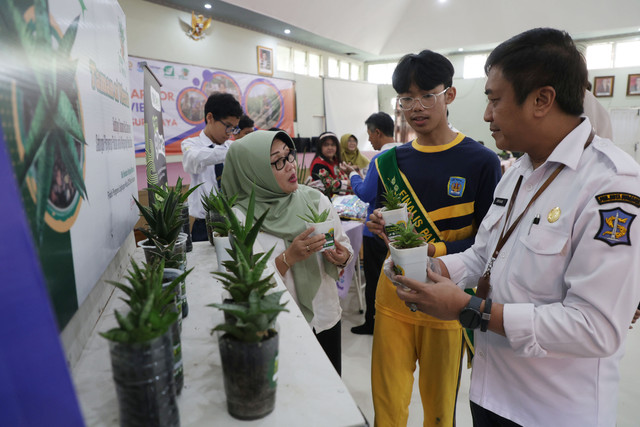 Cerita Siswa SMP di Surabaya Luncurkan Mangrove Warrior dan Taman Sansiviera