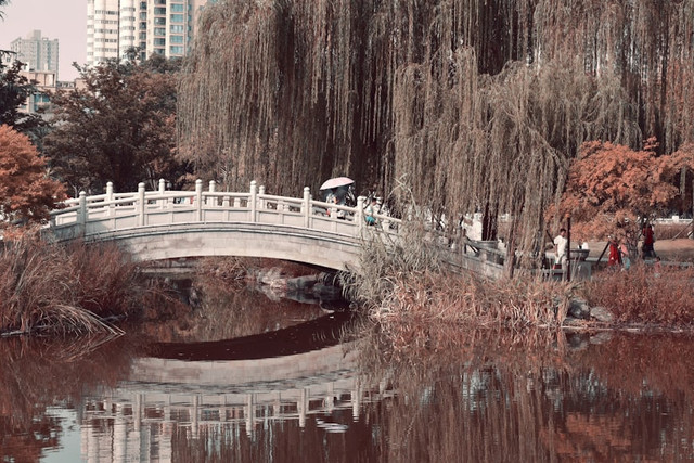 Ilustrasi Speed and Love Kapan Tayang. Unsplash.com/Rubina Ajdary