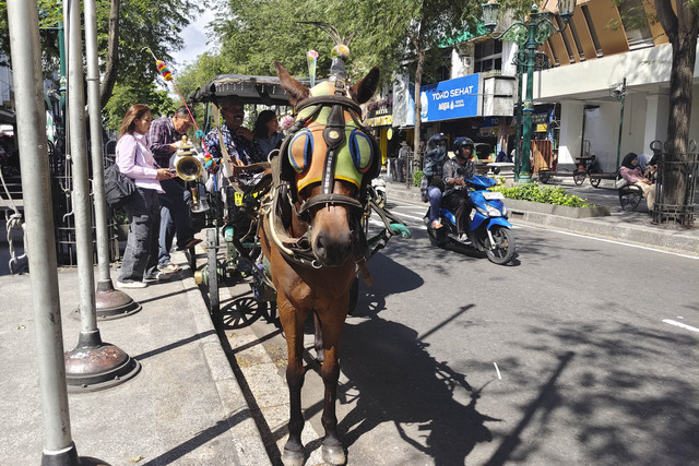 Kuda andong di kawasan Malioboro, Kota Yogyakarta, Jumat (12/12/2025). Foto: Arfiansyah Panji Purnandaru/kumparan
