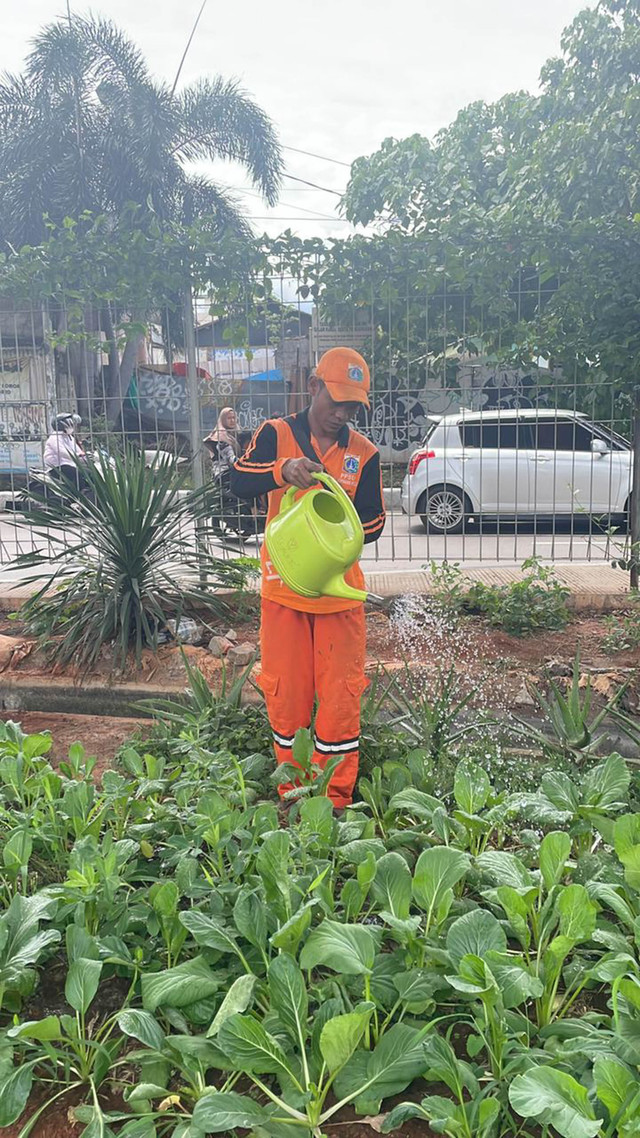 Lokasi urban farming di kolong tol Becakayu, Kelurahan Cipinang Melayu, Jakarta Timur, Minggu (14/12/2025). Foto: Fadhil Pramudya/kumparan