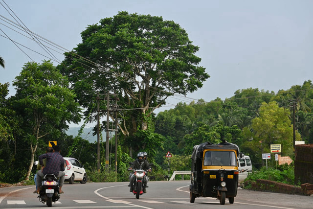 Ilustrasi suasana jalan raya dengan pengendara dan kendaraan. Sumber: Unsplash