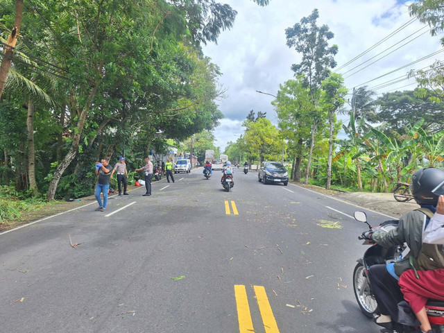 Lokasi pemotor tewas usai tertimpa dahan pohon yang patah tersenggol truk di Jalan KH Ahmad Dahlan, Wates, Kabupaten Kulon Progo, Senin (15/12/2025). Foto: Polres Kulon Progo
