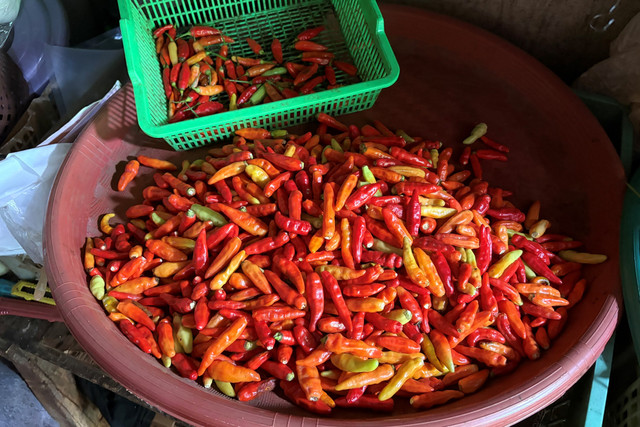 Lapak jualan sayur di Pasar Palmerah, Jakarta, Selasa (16/12/2025). Foto: Najma Ramadhanya/kumparan