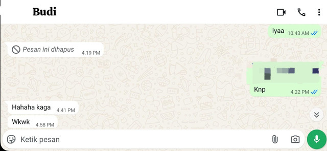 Ilustrasi Pesan Ini Dihapus Sumber: Dokumentasi Pribadi