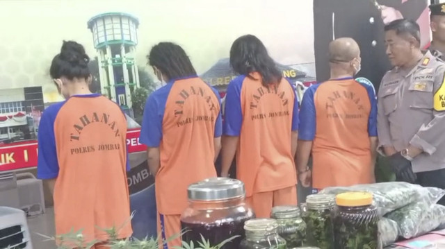 Polres Jombang konferensi pers kasus penanaman ganja di rumah kontrakan di Jalan Pakubuwono, Desa Mojongapit, Kabupaten Jombang. Foto: Dok. Istimewa