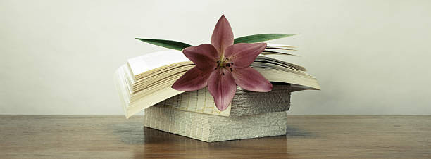 Gambar tumpukan tiga buku dengan setangkai bunga. (Sumber: https://www.istockphoto.com)