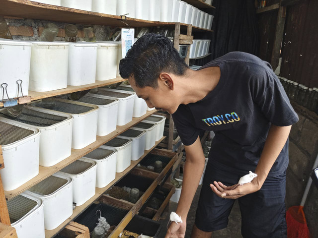 Kandang tikus mencit yang diternak Imam Muslim, Jumat (19/12/2025). Foto: Arfiansyah Panji Purnandaru/kumparan