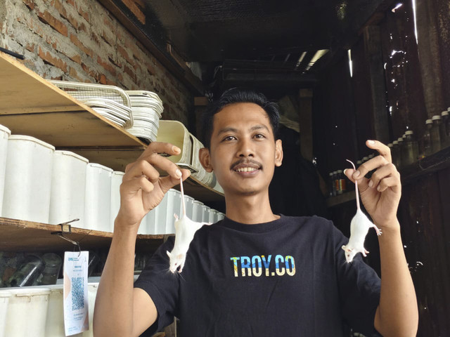 Imam Muslim warga Yogya yang beternak tikus mencit, Jumat (19/12/2025). Foto: Arfiansyah Panji Purnandaru/kumparan