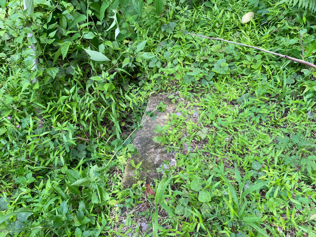 Objek yang Diduga Cagar Budaya (ODCB) yang ditemukan seorang warga di Prambanan, Sleman. Foto: Pandangan Jogja/Resti Damayanti