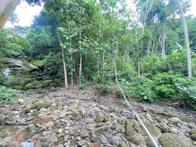Jalan menuju Objek yang Diduga Cagar Budaya (ODCB) yang ditemukan seorang warga di Prambanan, Sleman. Foto: Pandangan Jogja/Resti Damayanti