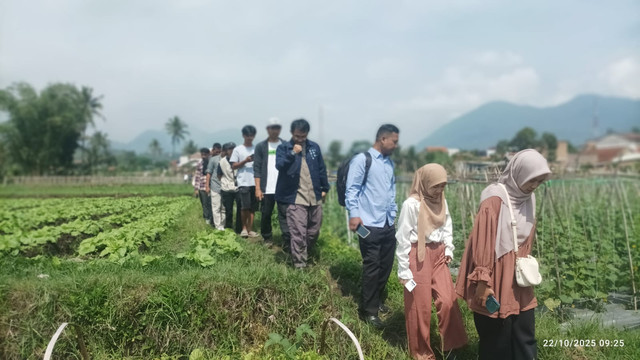 Penelitian Kelompok Tani desa Talagasari Kadungora-Garut/Foto : Dok. Pribadj (Agus Kusdinar)