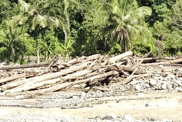 Gelondongan kayu pascabanjir bandang di Kota Padang, Sumatera Barat. Foto: Dok. PMI