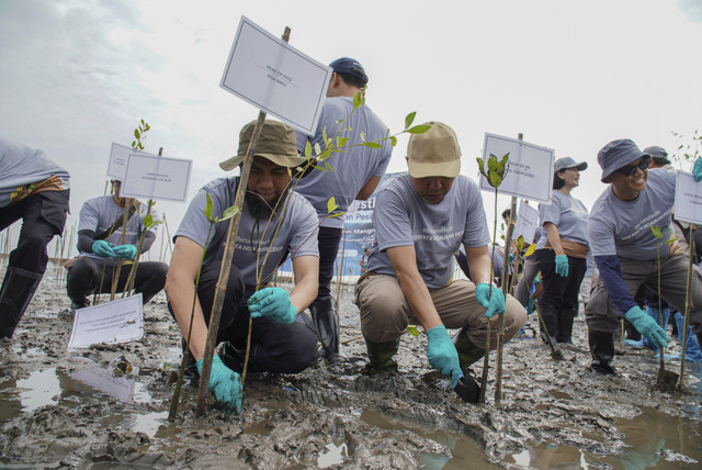 Nestle Indonesia melalui program #BersamaNestle melaksanakan aksi penanaman pohon dan tanaman bakau di tiga provinsi. Foto: Dok. Nestle Indonesia