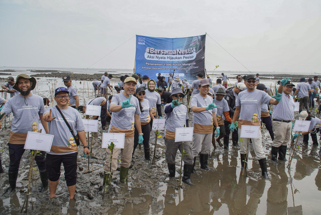 Nestlé Indonesia melalui program #BersamaNestlé  melaksanakan aksi penanaman pohon dan tanaman bakau di tiga provinsi. Foto: Dok. Nestlé Indonesia