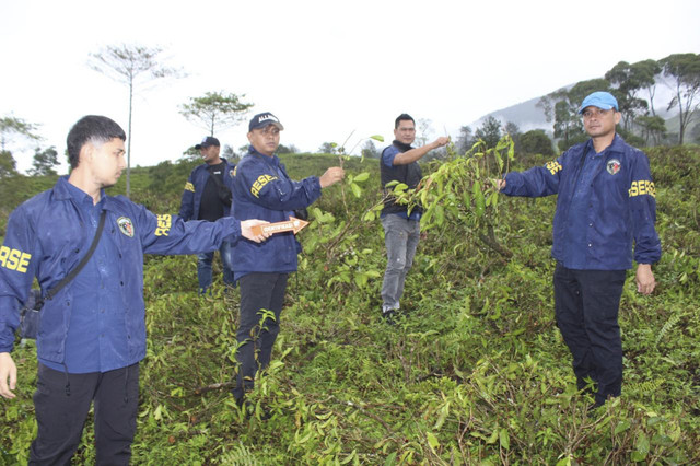 Kebun teh di Garut yang dirusak. Foto: Dok. Polres Garut