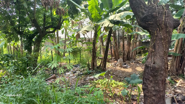 Kejaksaan Agung melelang tanah di Kota Bandung milik terpidana kasus kredit fiktif Andi Winarto senilai Rp 5,4 miliar. Foto: Kejagung RI