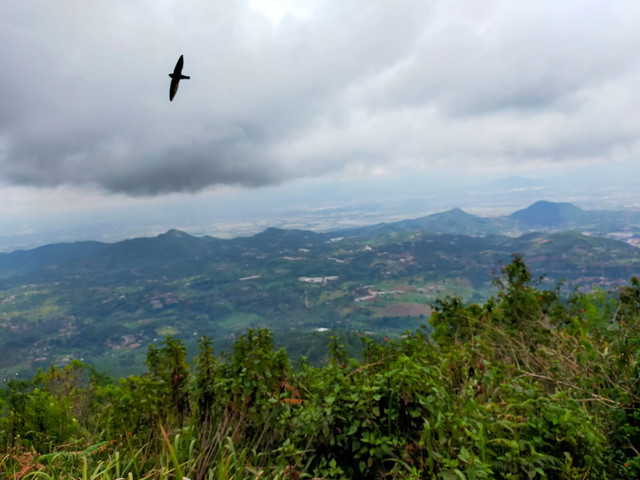Selama pendakian, mata disuguhi pemandangan yang menyejukkan. Pepohonan berdiri seperti penjaga jalur yang setia. Daun-daun bergesekan menciptakan irama alami. Semakin ke atas, pemandangan kota mulai terlihat dari kejauhan (Foto: Dokumen Penulis) 