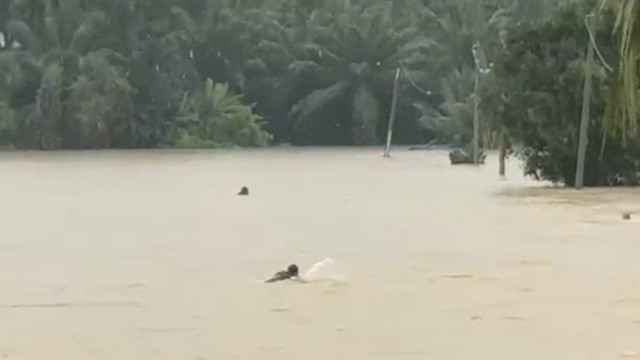 Detik-detik prajurit TNI membantu warga terbawa arus banjir di Aceh Timur. Foto: Dok. Istimewa