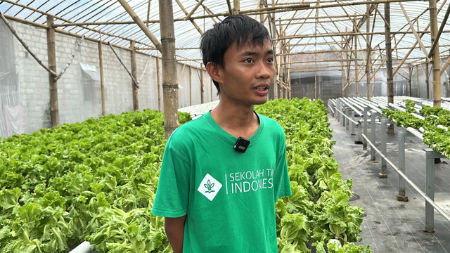Aditya Dwi Saputra petani milenial di Madiun yang menjadi pemasok sayuran ke dapur Makan Bergizi Gratis (MBG). Foto: Dok. Istimewa