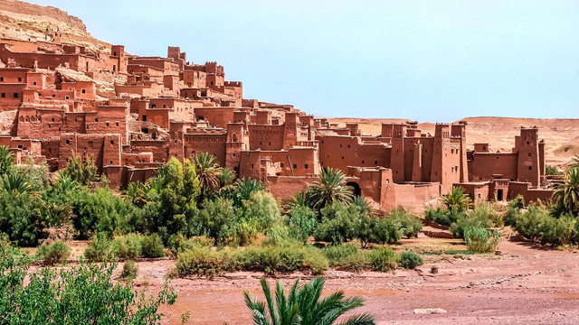 Pemandangan oasis di timur tengah. Foto: Pixabay
