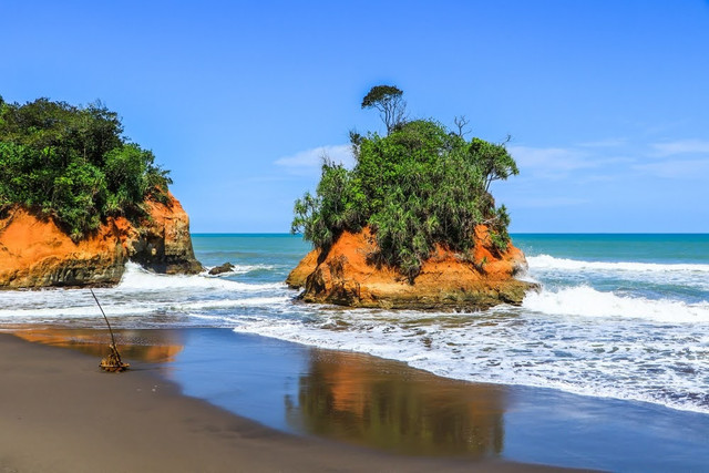 Ilustrasi mangrove menahan abrasi. Foto: Shutterstock