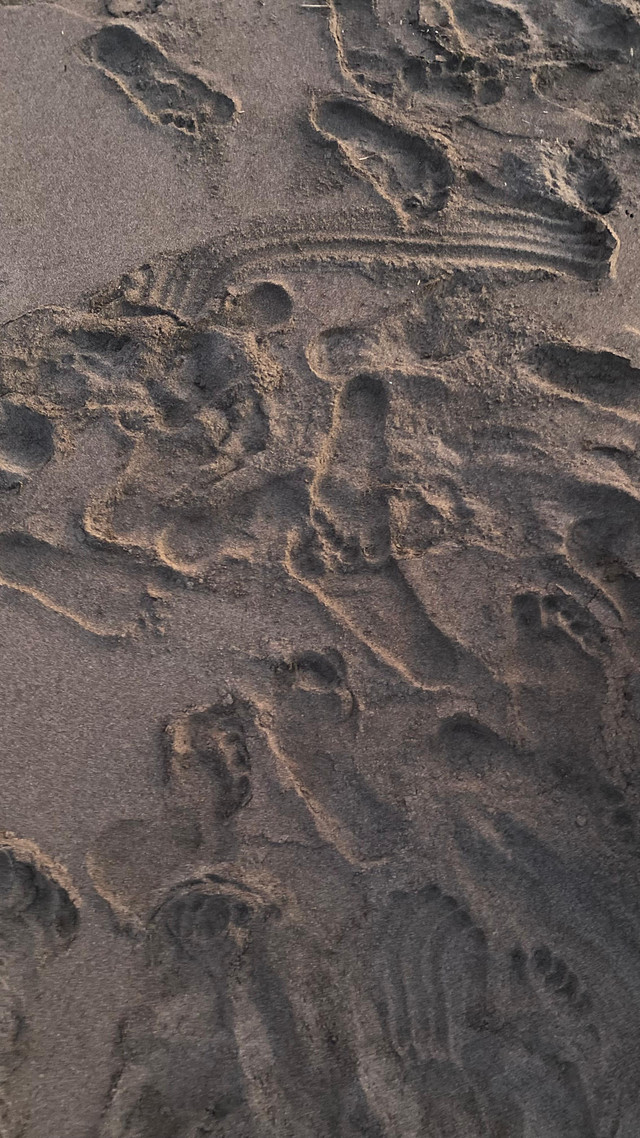 Sumber: Dokumentasi Pribadi